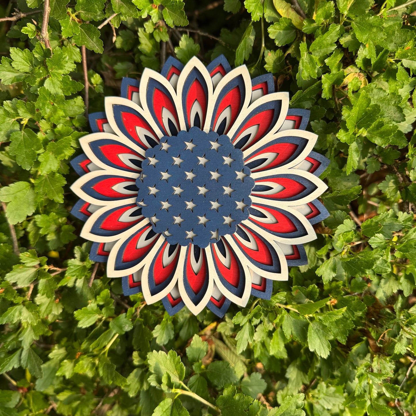 America Sunflower Sign