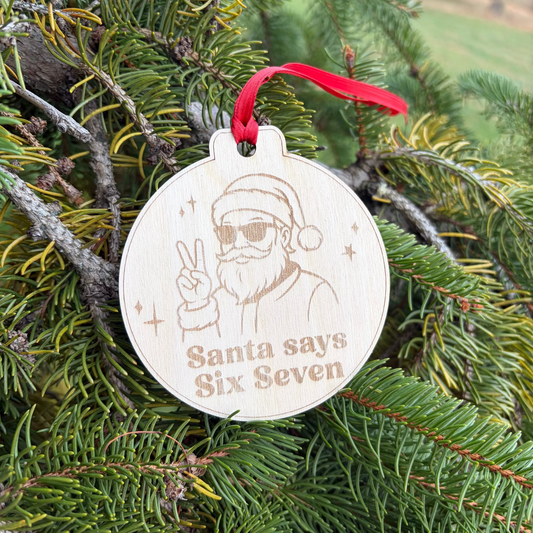 Decorative ornament with Santa Claus design and 'Santa says Six Seven' text on a Christmas tree branch.